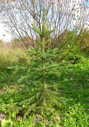 Similar image 21762790