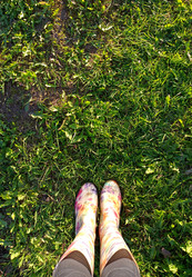 Similar image 21762791