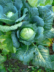 Similar image 21762798