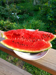 Similar image 21762800