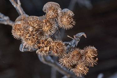 Similar image 21759125