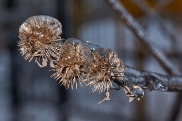 Similar image 21759126