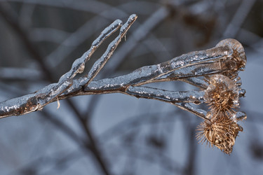 Similar image 21759128