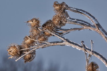 Similar image 21759130