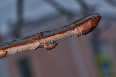 Similar image 21759131