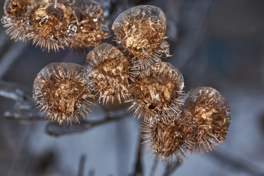 Similar image 21759132