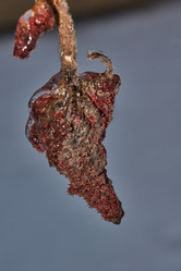 Similar image 21759133