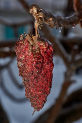 Similar image 21759134