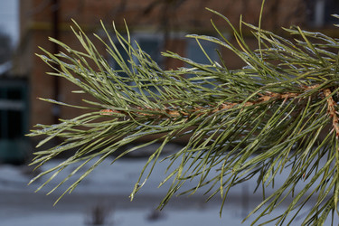 Similar image 21759135