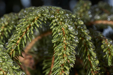 Similar image 21759137