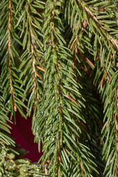 Similar image 21759138