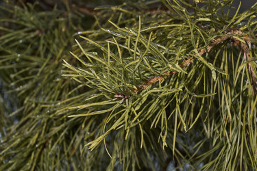 Similar image 21759139