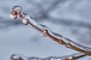 Similar image 21759155