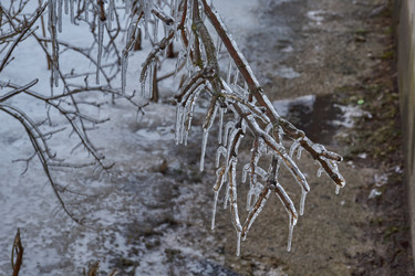 Similar image 21759156