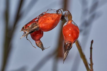 Similar image 21759157