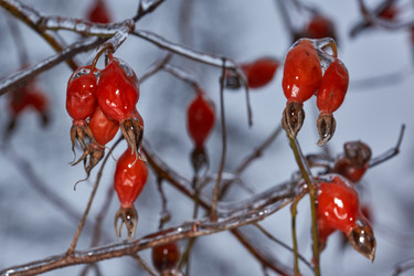 Similar image 21759158