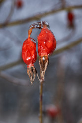 Similar image 21759159