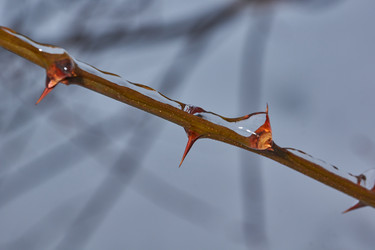 Similar image 21759161