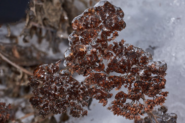 Similar image 21759167