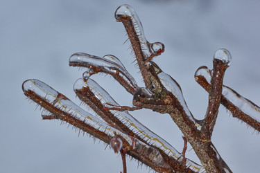 Similar image 21759169