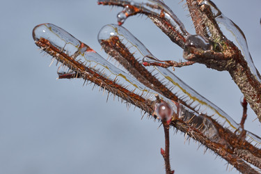 Similar image 21759170