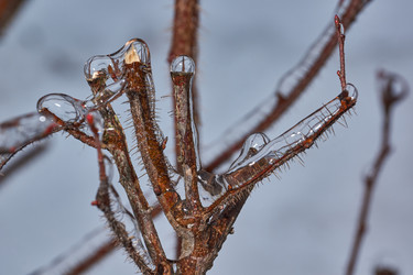 Similar image 21759171