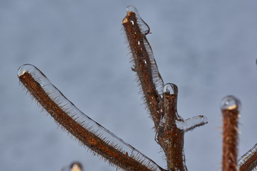 Similar image 21759172