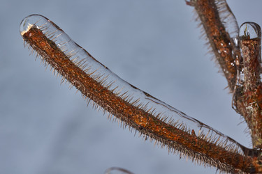 Similar image 21759173