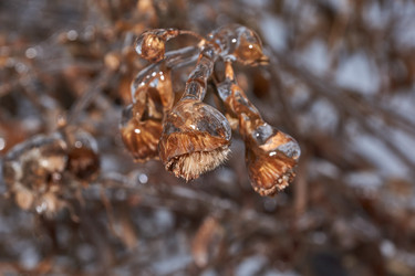 Similar image 21759175