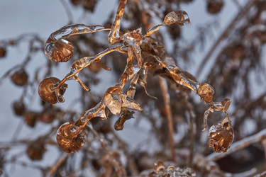 Similar image 21759176