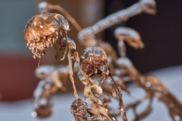 Similar image 21759177