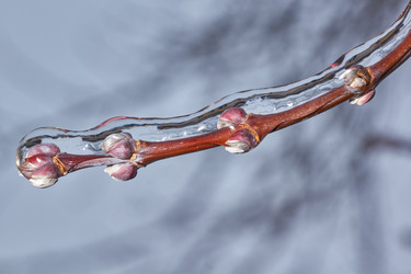 Similar image 21759178