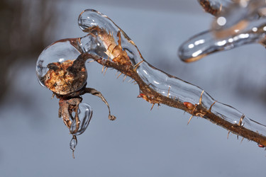 Similar image 21759179