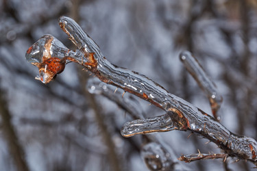 Similar image 21759180