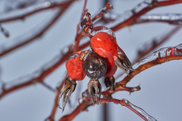 Similar image 21759181