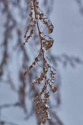 Similar image 21759183