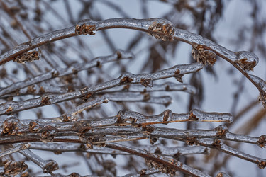 Similar image 21759184