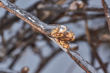 Similar image 21759185