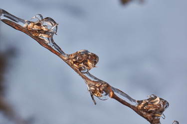 Similar image 21759186