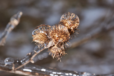 Similar image 21759187