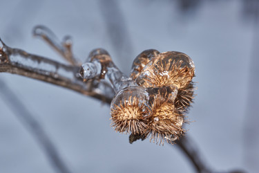 Similar image 21759188