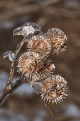 Similar image 21759189