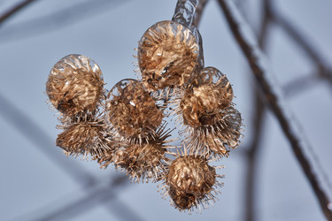 Similar image 21759190