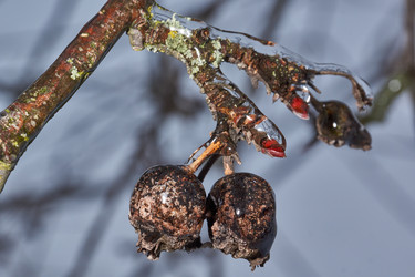 Similar image 21759191