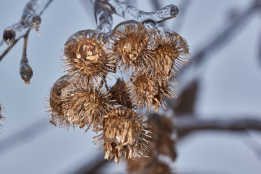 Similar image 21759192