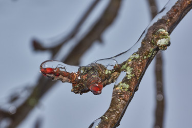 Similar image 21759193