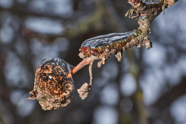 Similar image 21759194