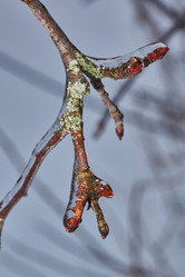 Similar image 21759195