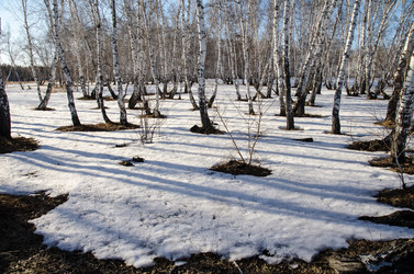 Similar image 21758712