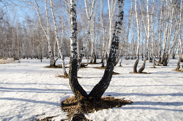 Similar image 21758713